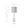 Harris Brushed Silver and Clear Glass Table Lamp