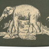 Nala 45cm Green Safari Printed Empire Lampshade