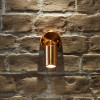 Lantana Copper Adjustable Directional Spot Light