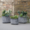 S/3 Galvanised Zinc Oval Planters