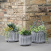 S/3 Galvanised Zinc Round Planters