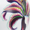 Laelia Pink Lily Ceramic Urn Vase