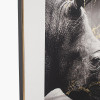 Monochrome Rhino Print with Gold Detail and Black Frame