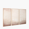 S/3 Natural and White Landscape Canvases with Natural Frames