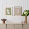 S/2 Green and Natural Fern Canvas Wall Art with Natural Frames