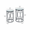 Caprisse S/2 Mirrored Glass and Graphite Metal Side Tables