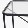 Roxy Glass and Black Metal Console Table