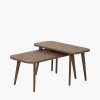 Elias Dark Ash Wood Retro Set of 2 Coffee Tables