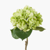 Green Hydrangea Pack of 6