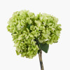 Green Hydrangea Pack of 6