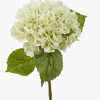 White Hydrangea Pack of 6