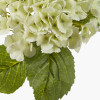 White Hydrangea Pack of 6