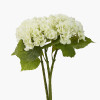 White Hydrangea Pack of 6